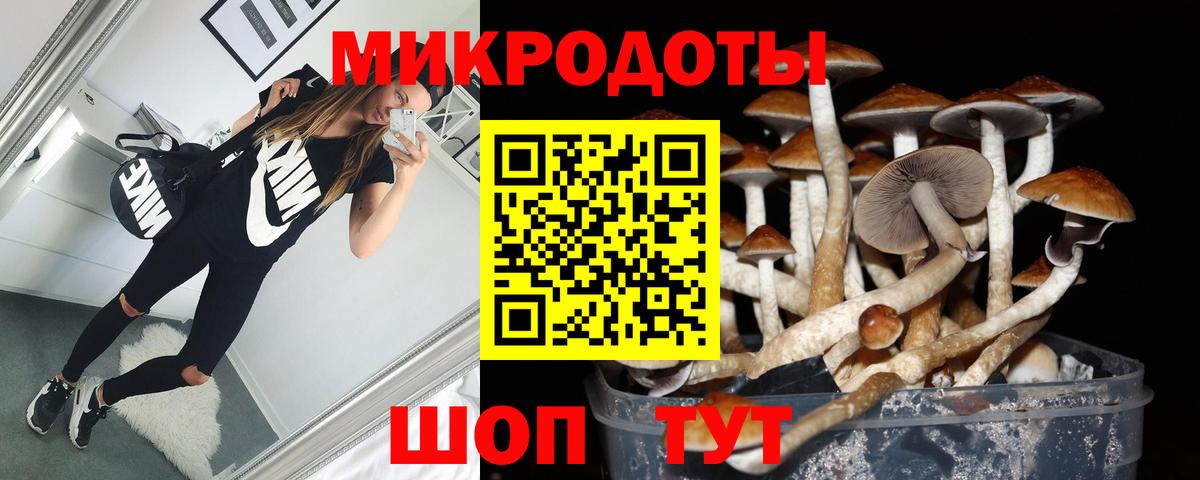 купить наркоту  Галлюциногенные грибы Cubensis  Вход с VPN  Северобайкальск 